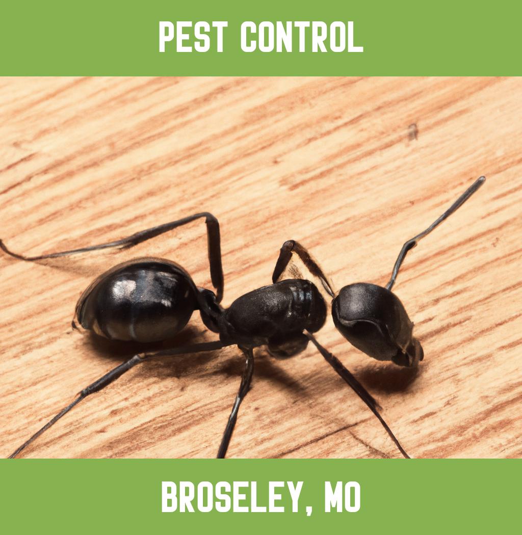 pest control in Broseley Missouri