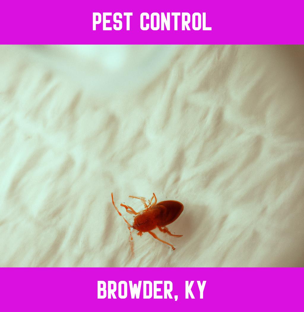 pest control in Browder Kentucky