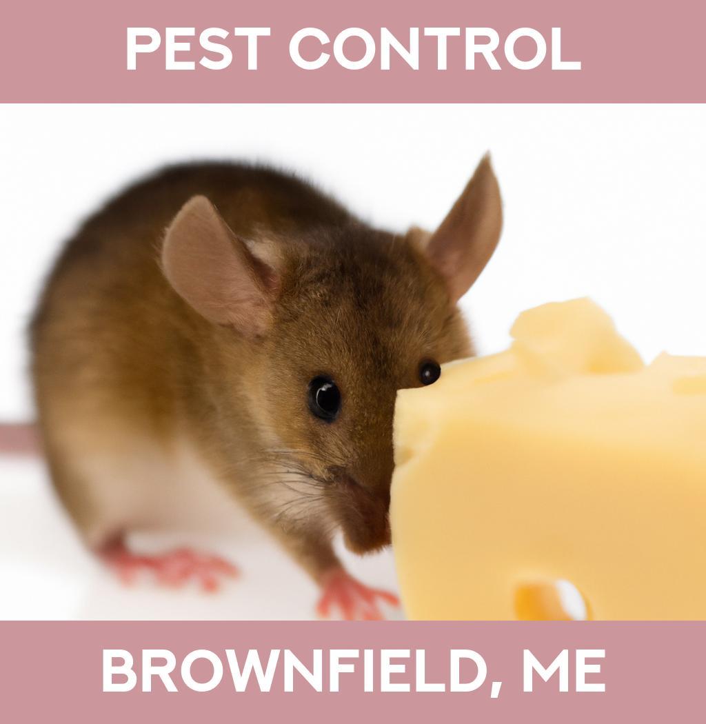 pest control in Brownfield Maine