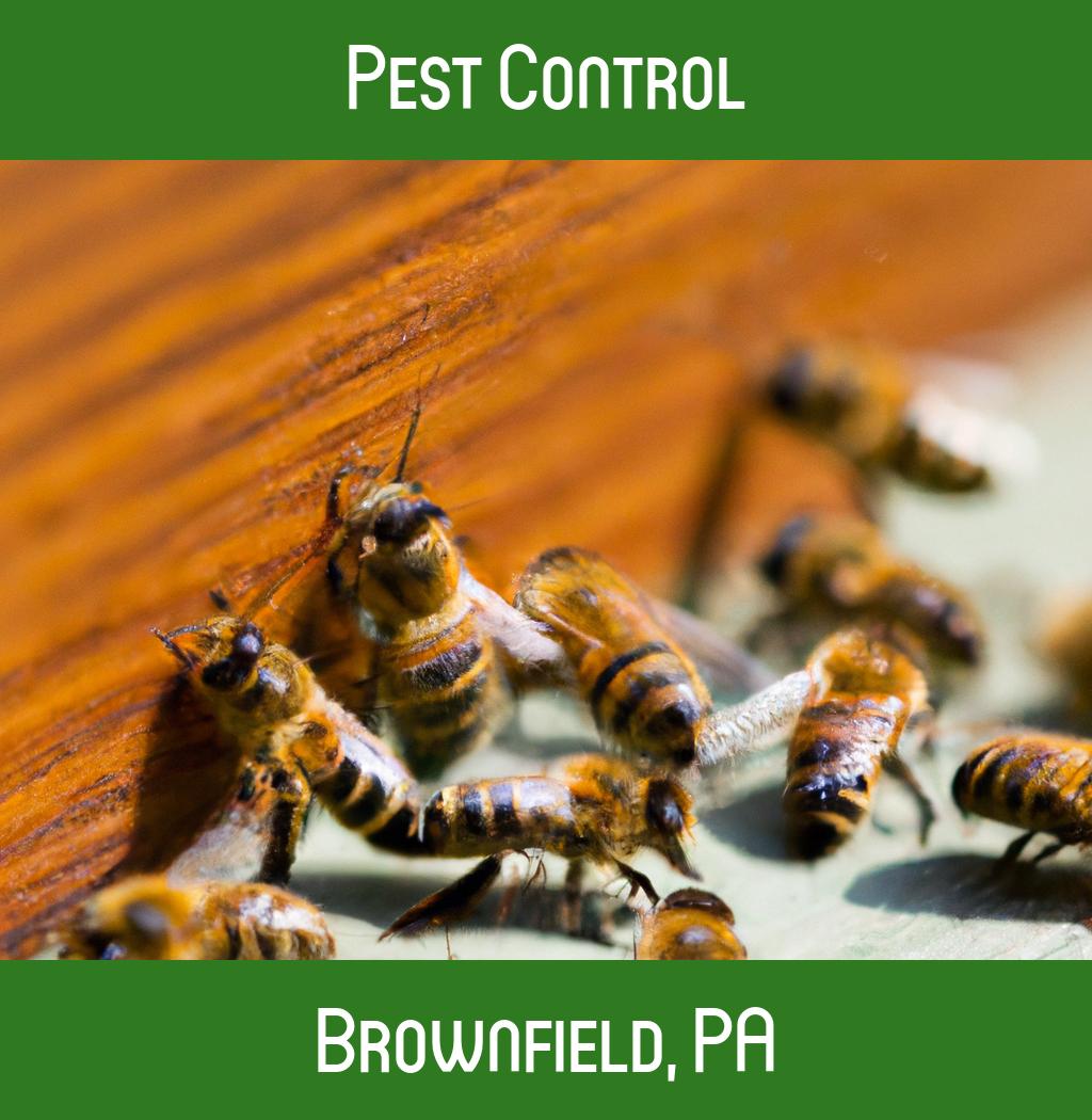 pest control in Brownfield Pennsylvania