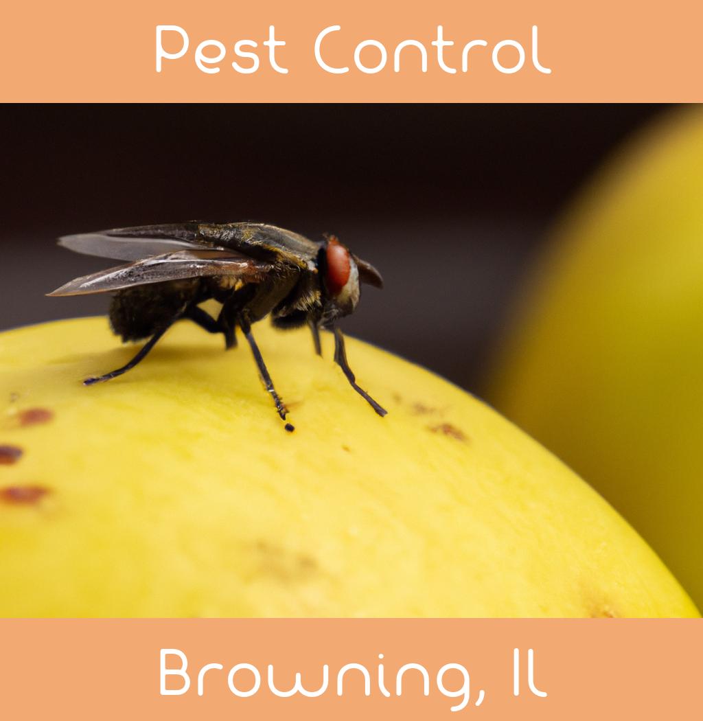 pest control in Browning Illinois