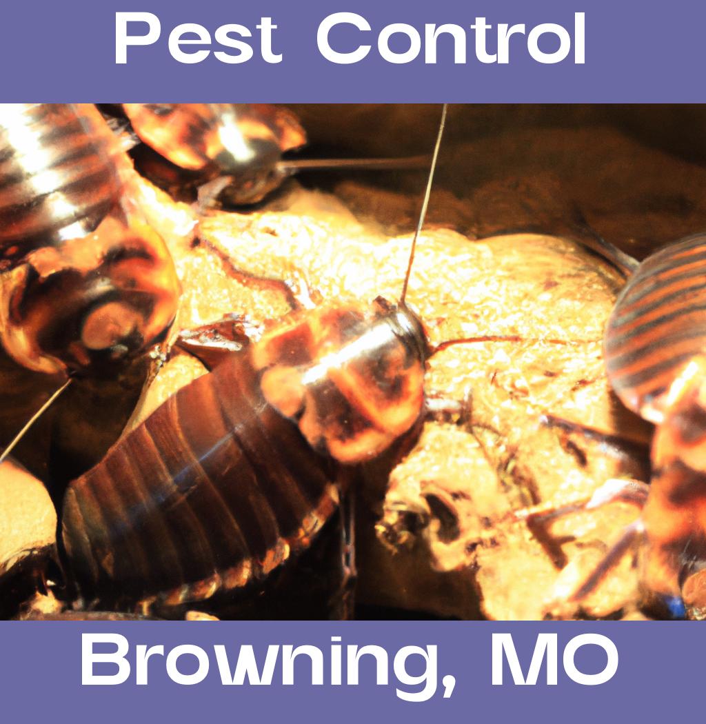 pest control in Browning Missouri