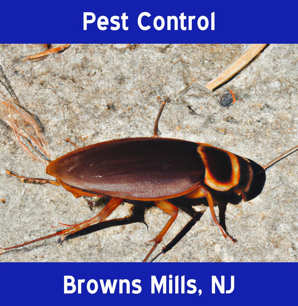 pest control in Browns Mills New Jersey