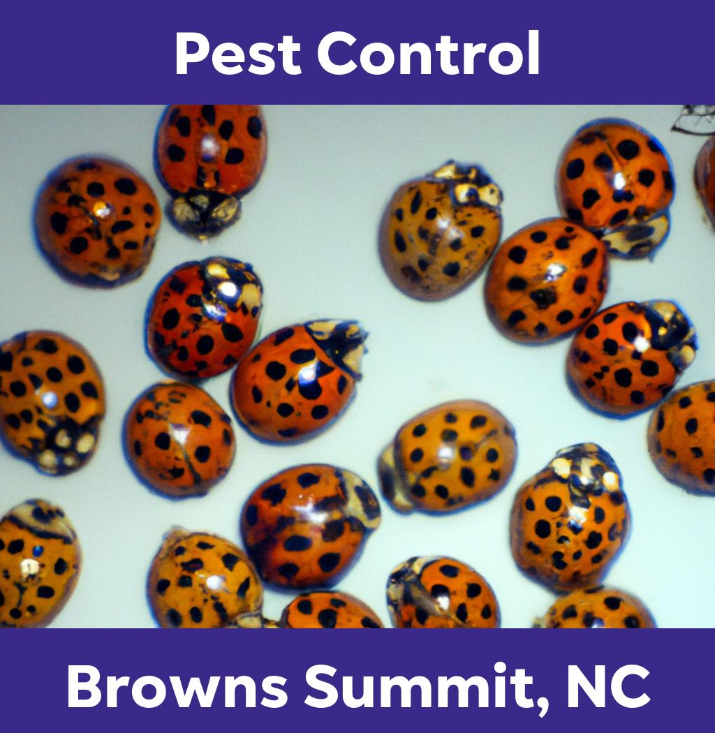 pest control in Browns Summit North Carolina