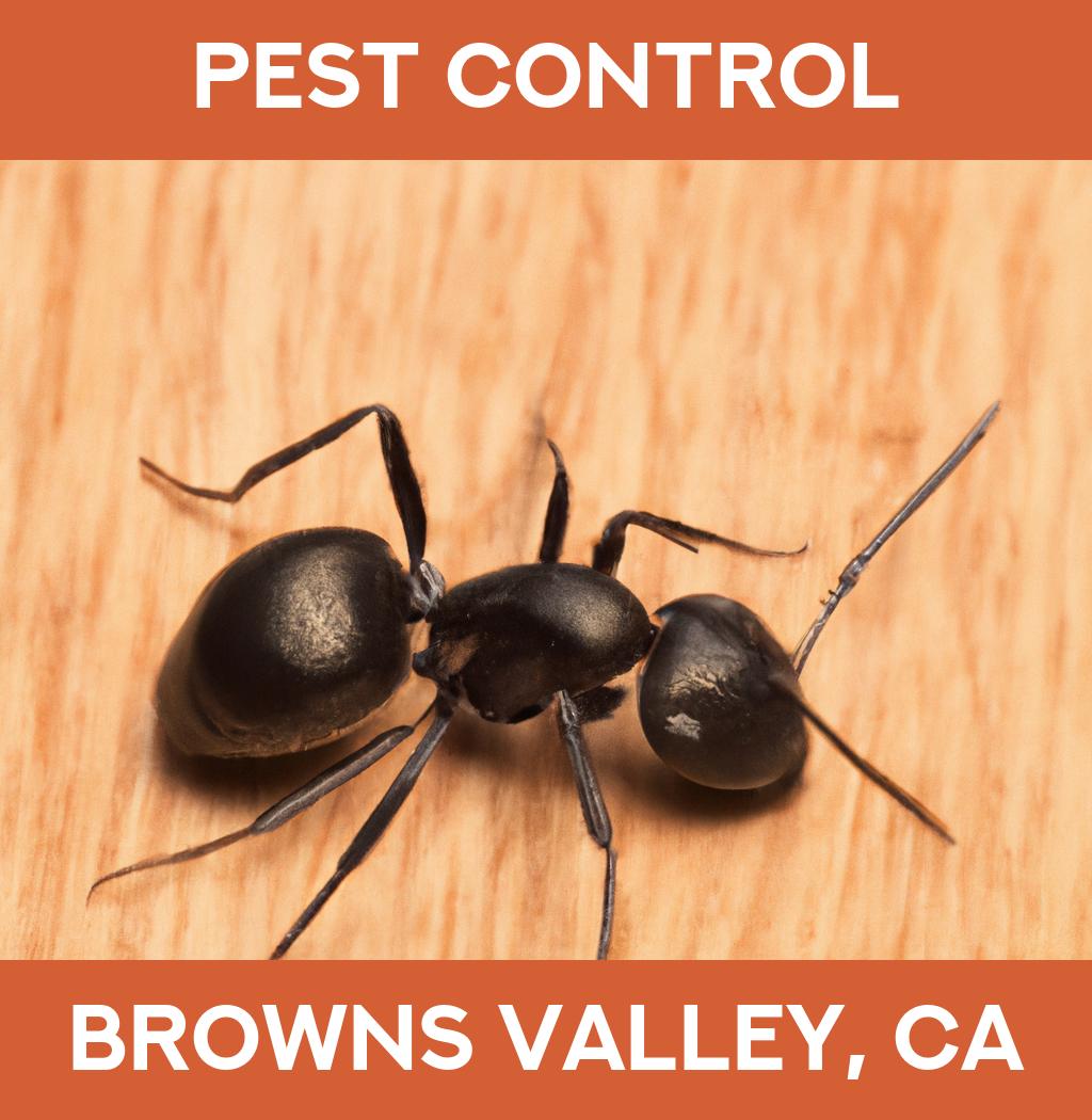pest control in Browns Valley California