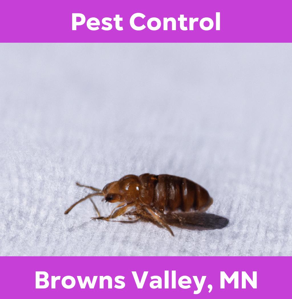 pest control in Browns Valley Minnesota