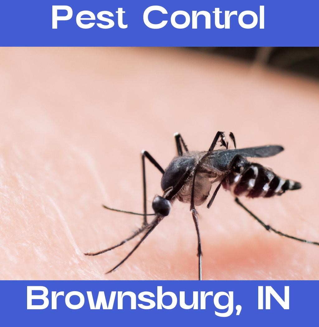 pest control in Brownsburg Indiana