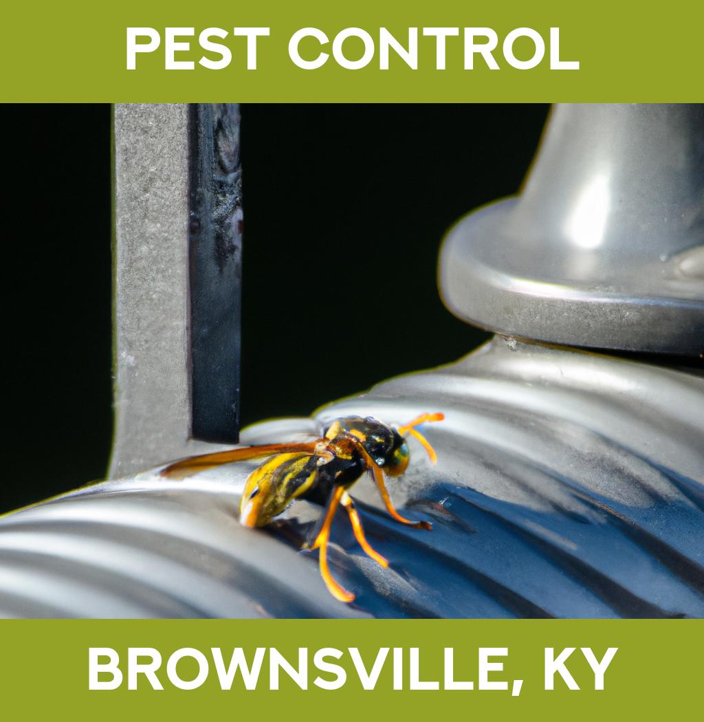 pest control in Brownsville Kentucky