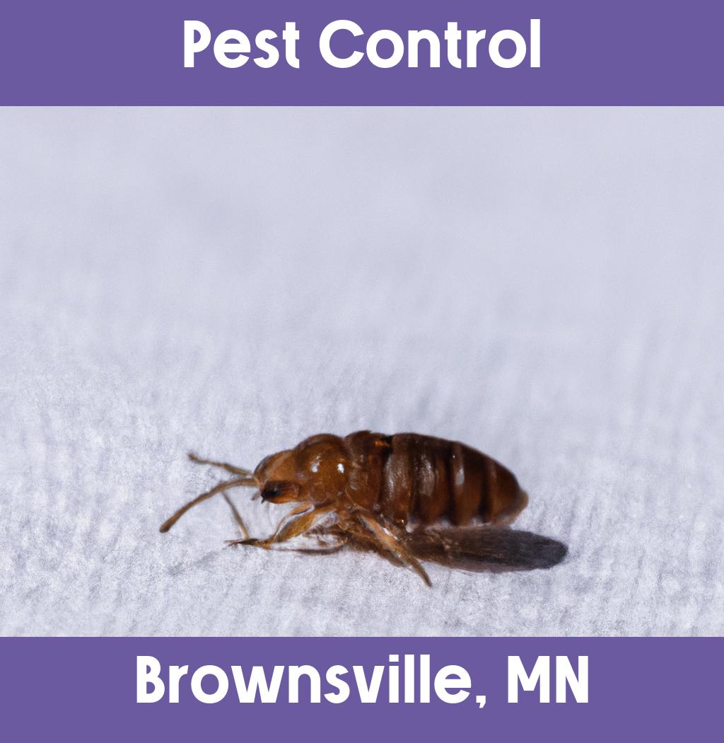 pest control in Brownsville Minnesota