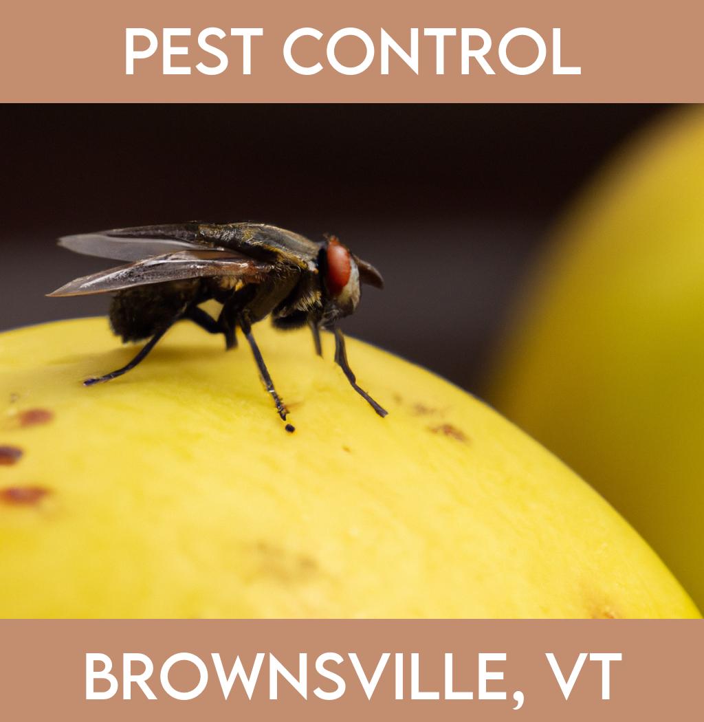 pest control in Brownsville Vermont
