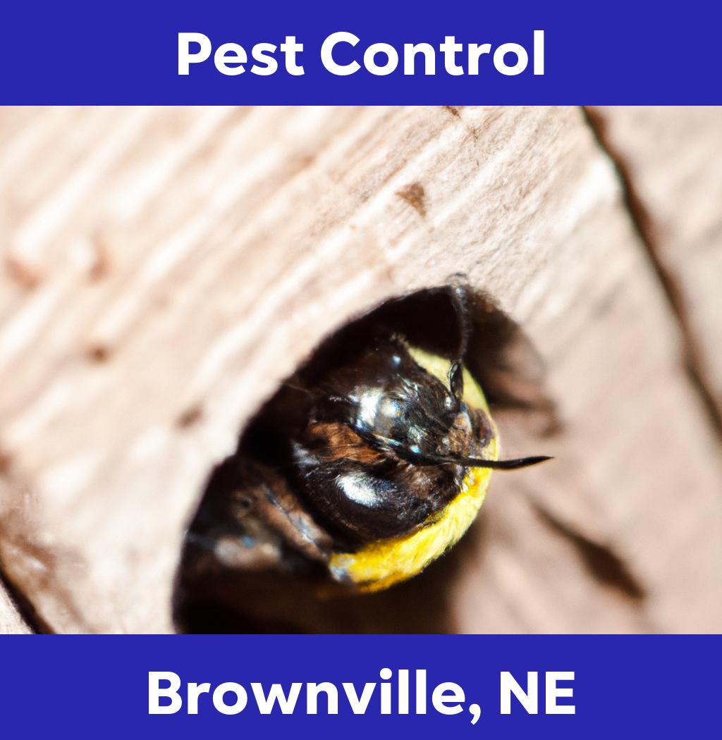 pest control in Brownville Nebraska