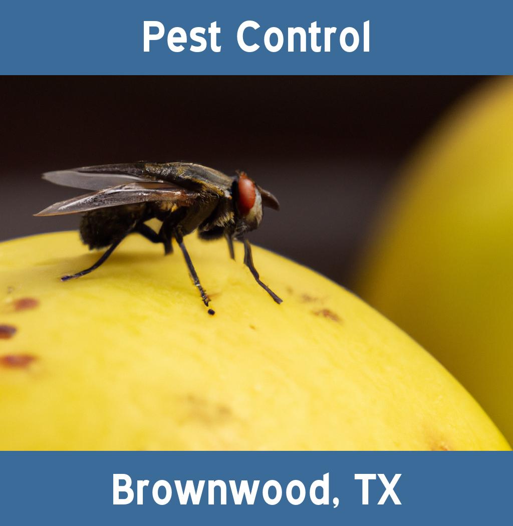 pest control in Brownwood Texas