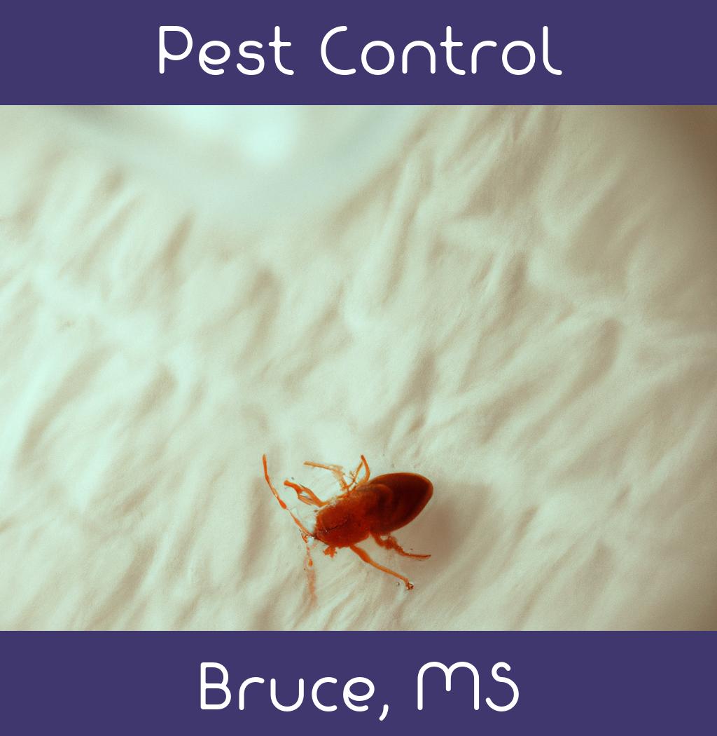 pest control in Bruce Mississippi