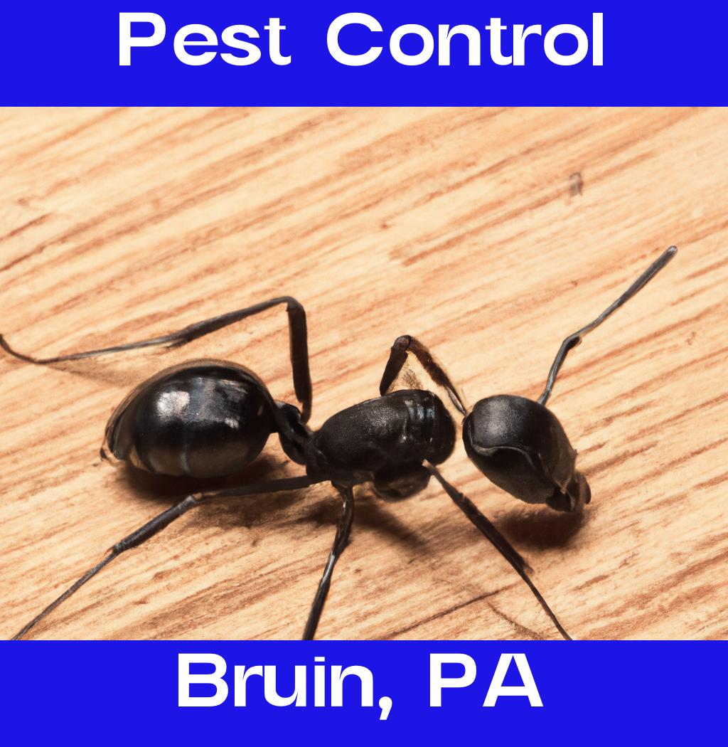 pest control in Bruin Pennsylvania