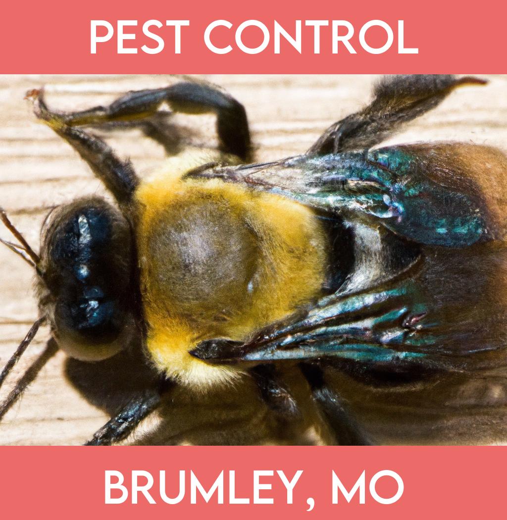 pest control in Brumley Missouri