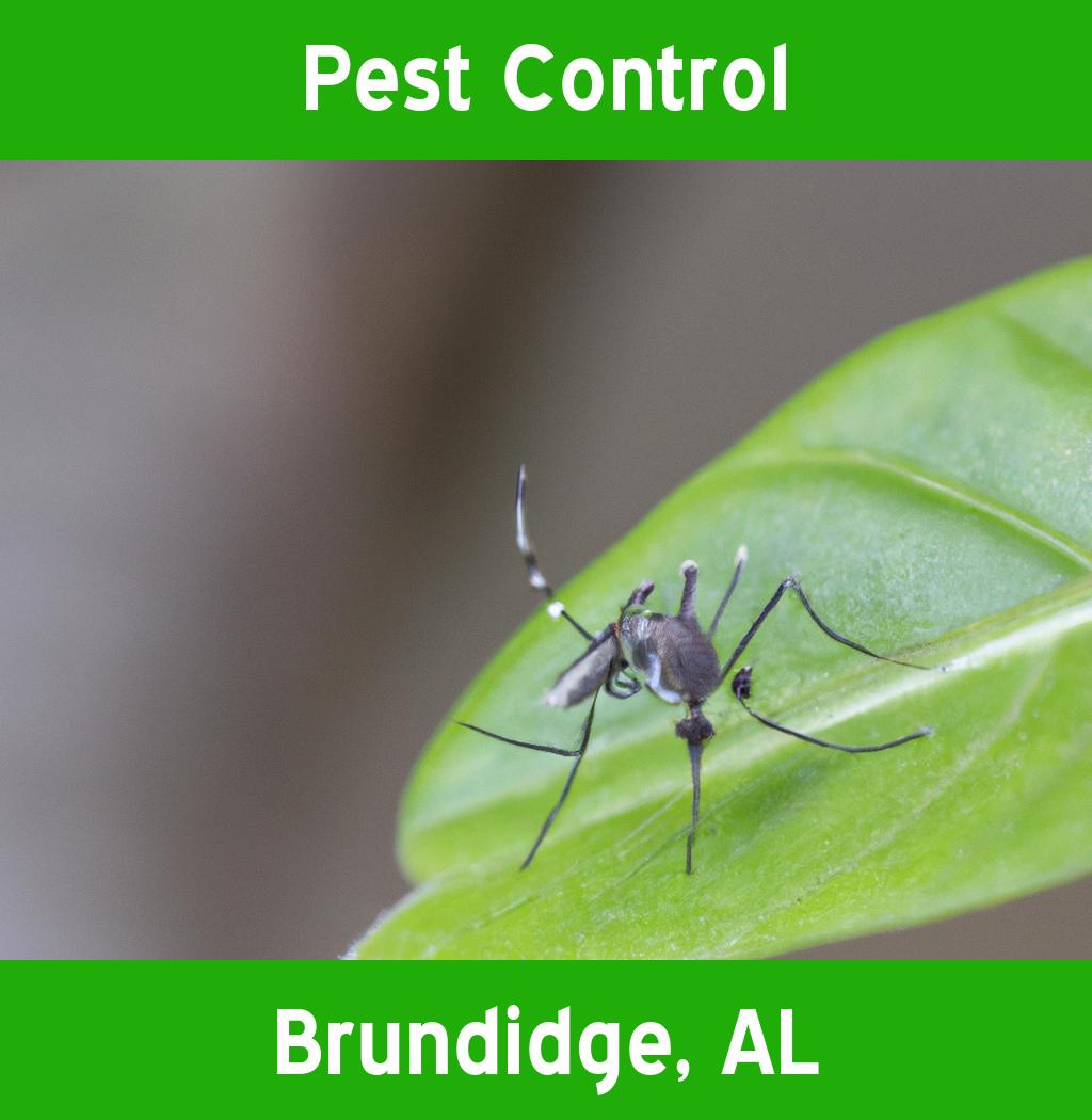 pest control in Brundidge Alabama