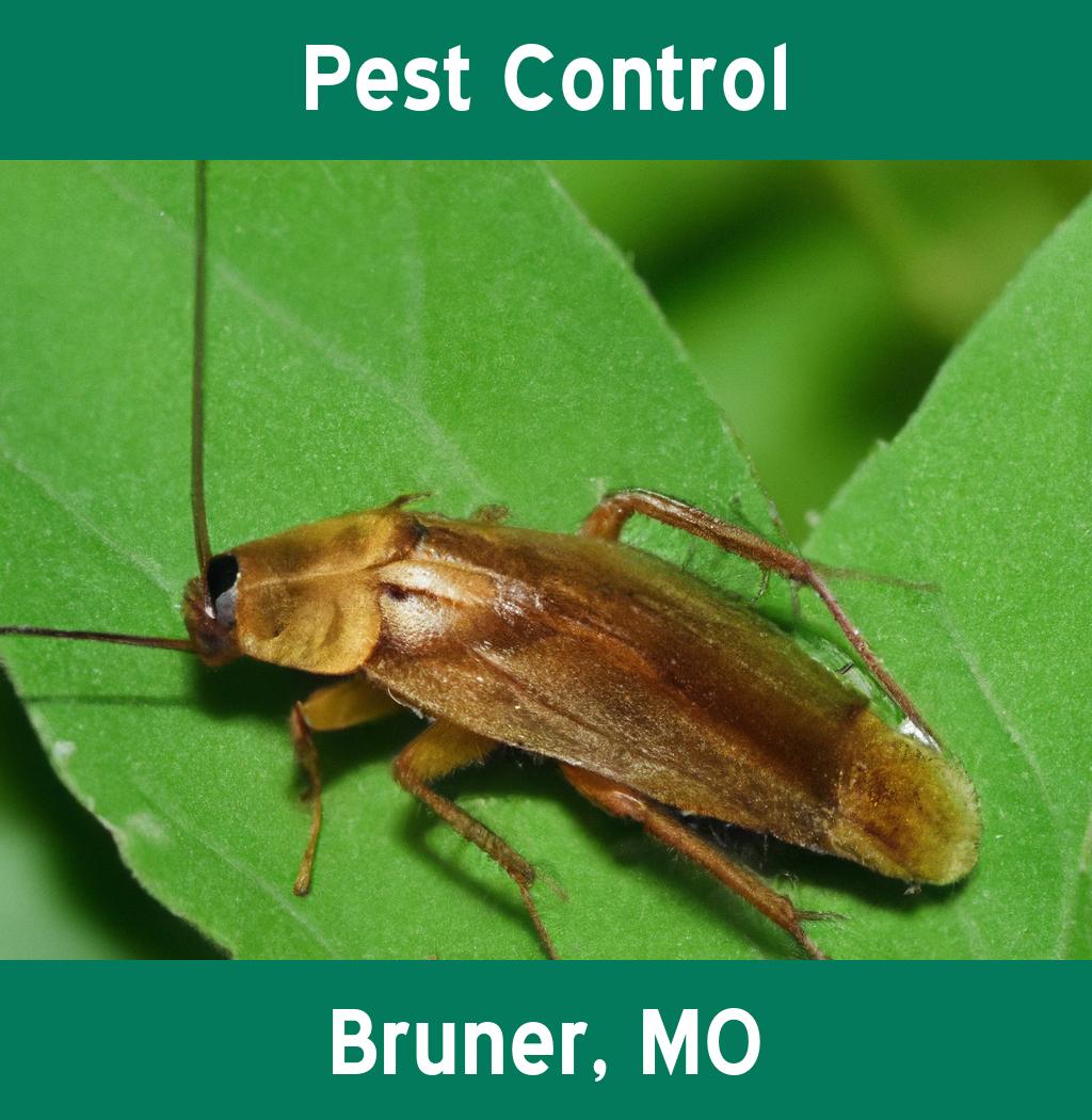 pest control in Bruner Missouri
