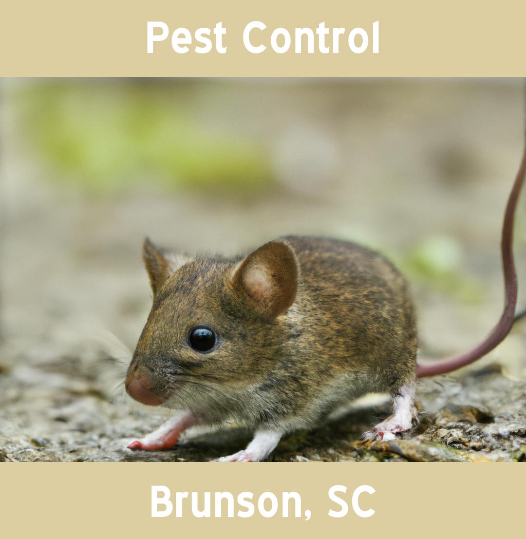 pest control in Brunson South Carolina