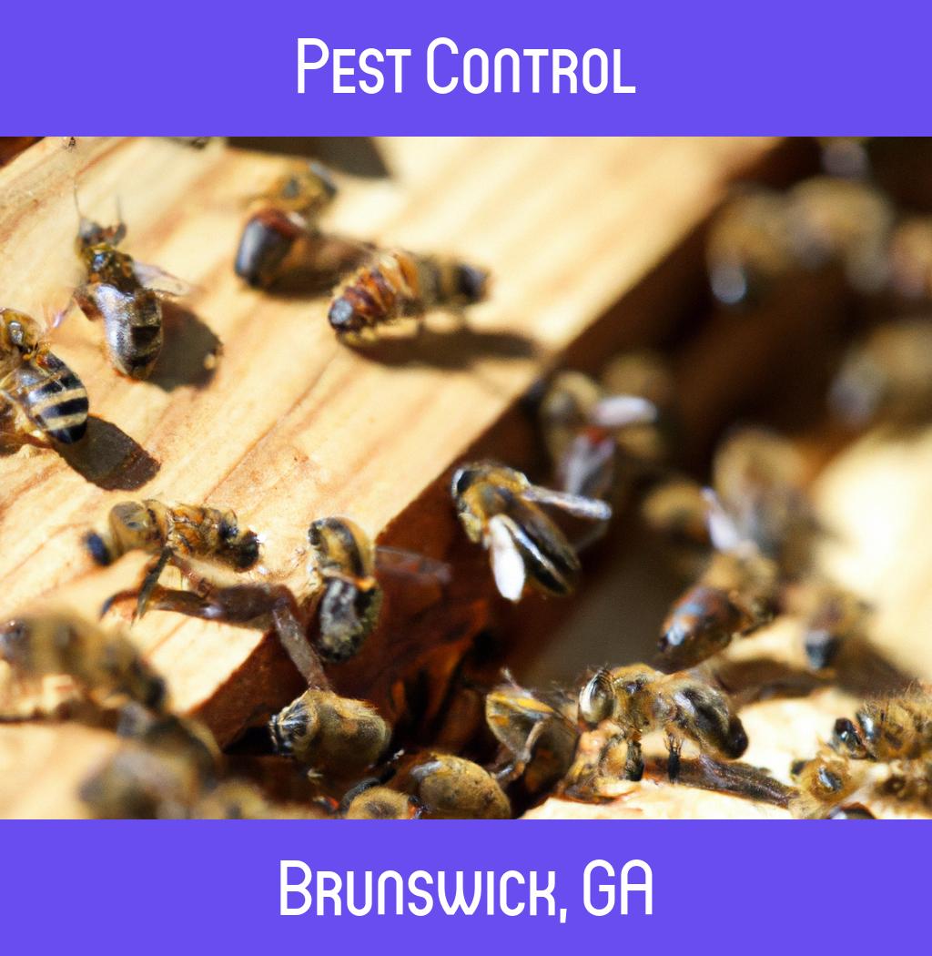 pest control in Brunswick Georgia