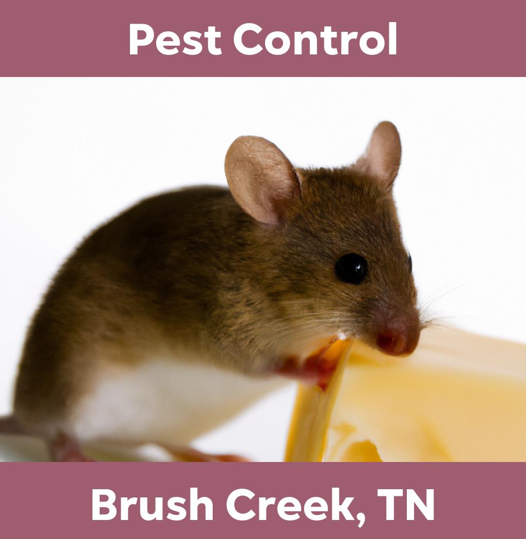 pest control in Brush Creek Tennessee