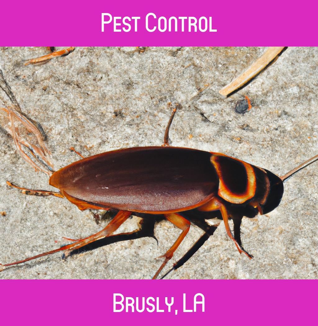 pest control in Brusly Louisiana