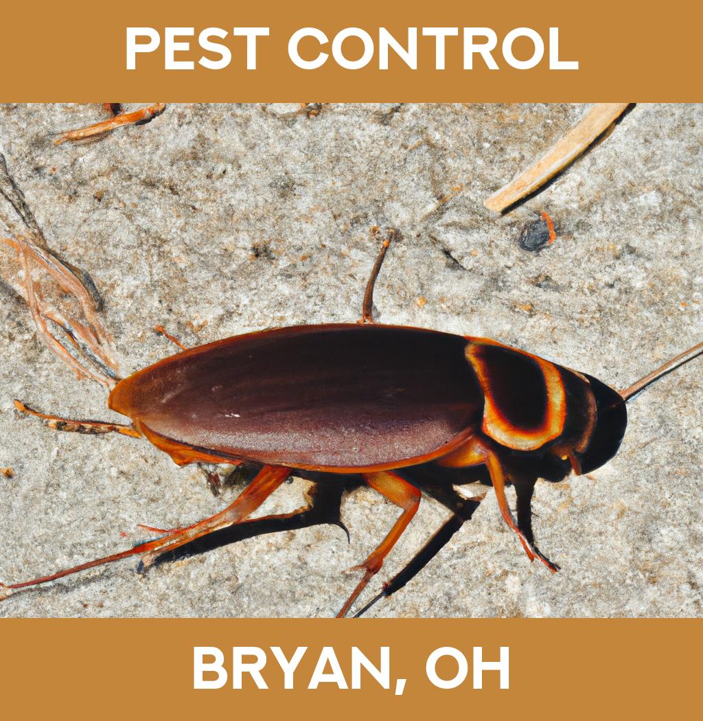 pest control in Bryan Ohio