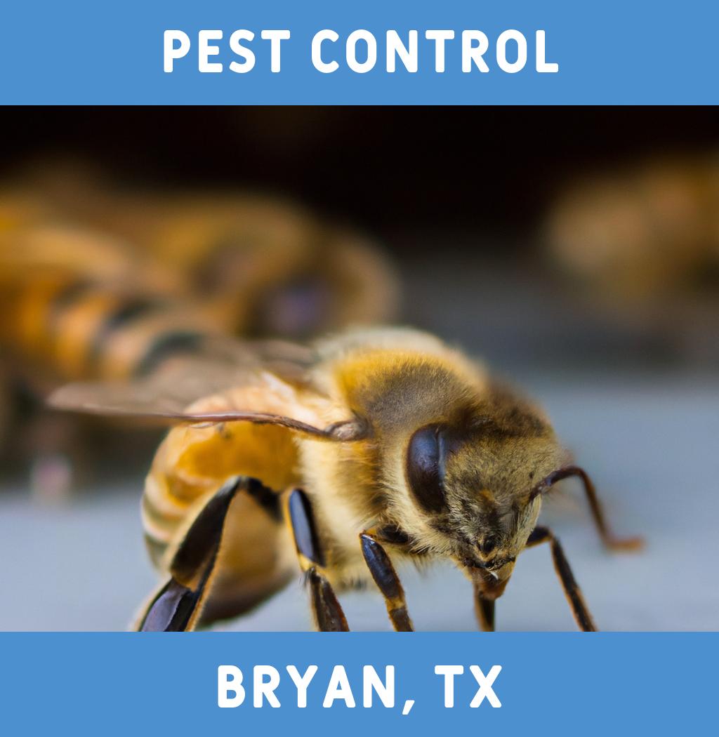 pest control in Bryan Texas