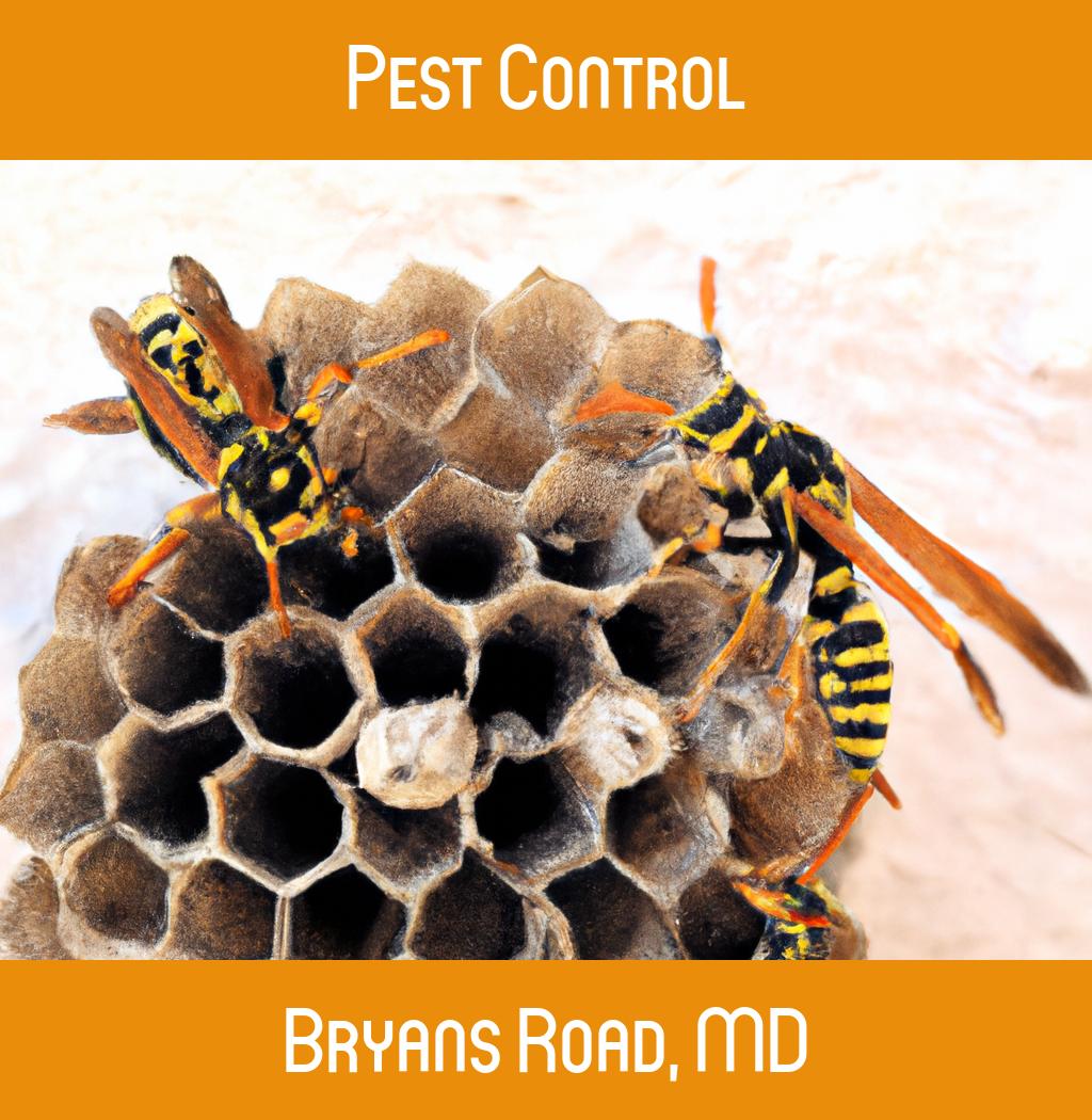 pest control in Bryans Road Maryland