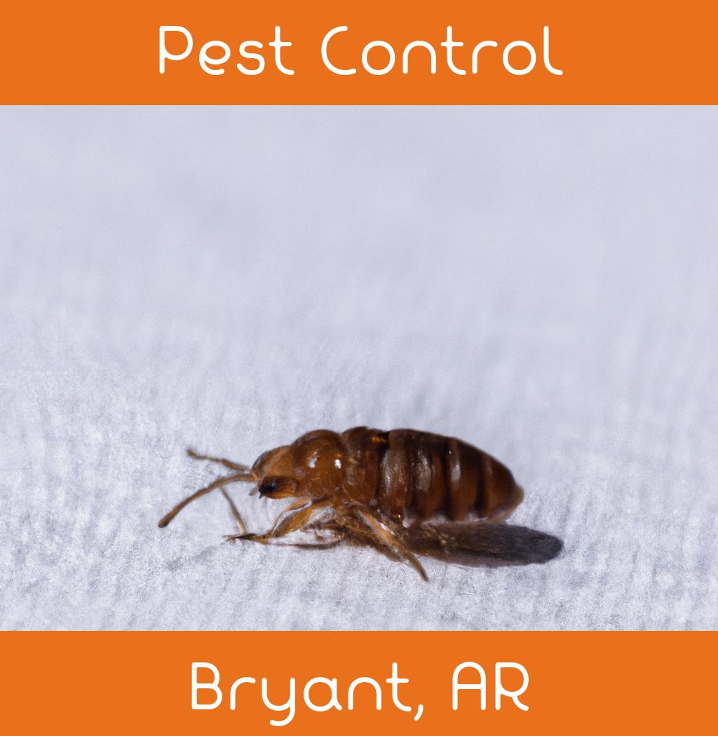 pest control in Bryant Arkansas