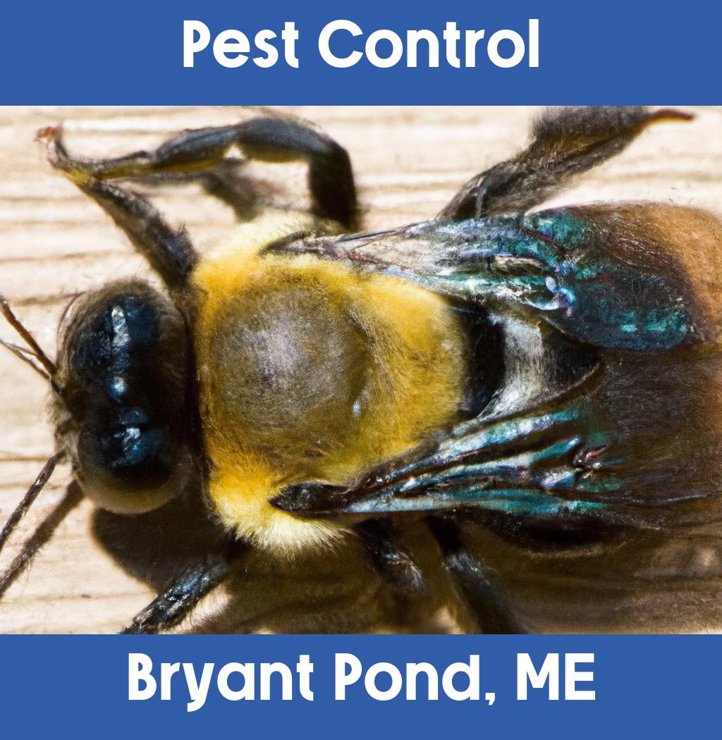 pest control in Bryant Pond Maine