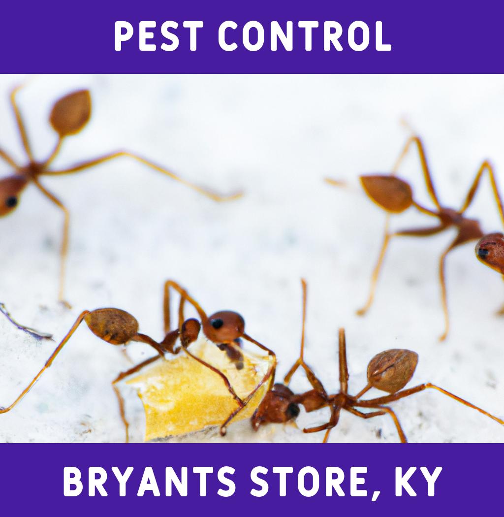 pest control in Bryants Store Kentucky
