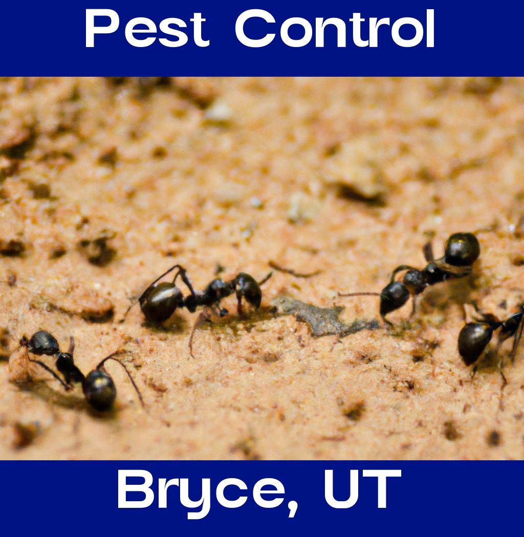 pest control in Bryce Utah