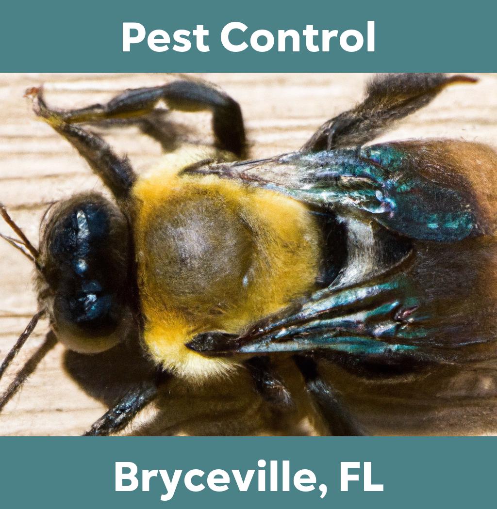 pest control in Bryceville Florida