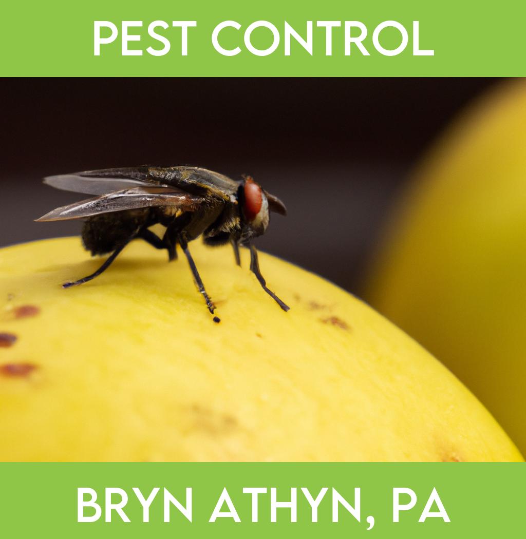 pest control in Bryn Athyn Pennsylvania