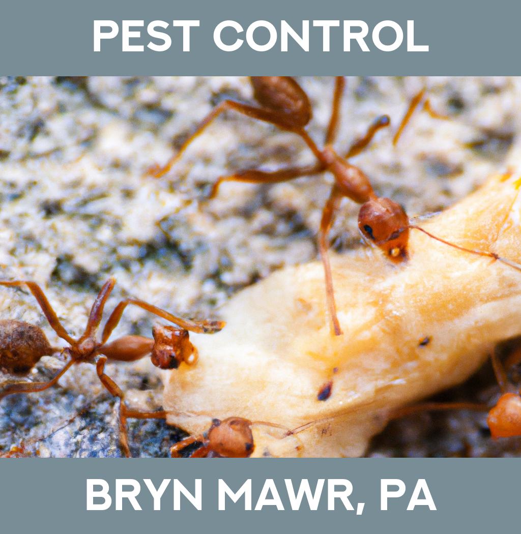 pest control in Bryn Mawr Pennsylvania