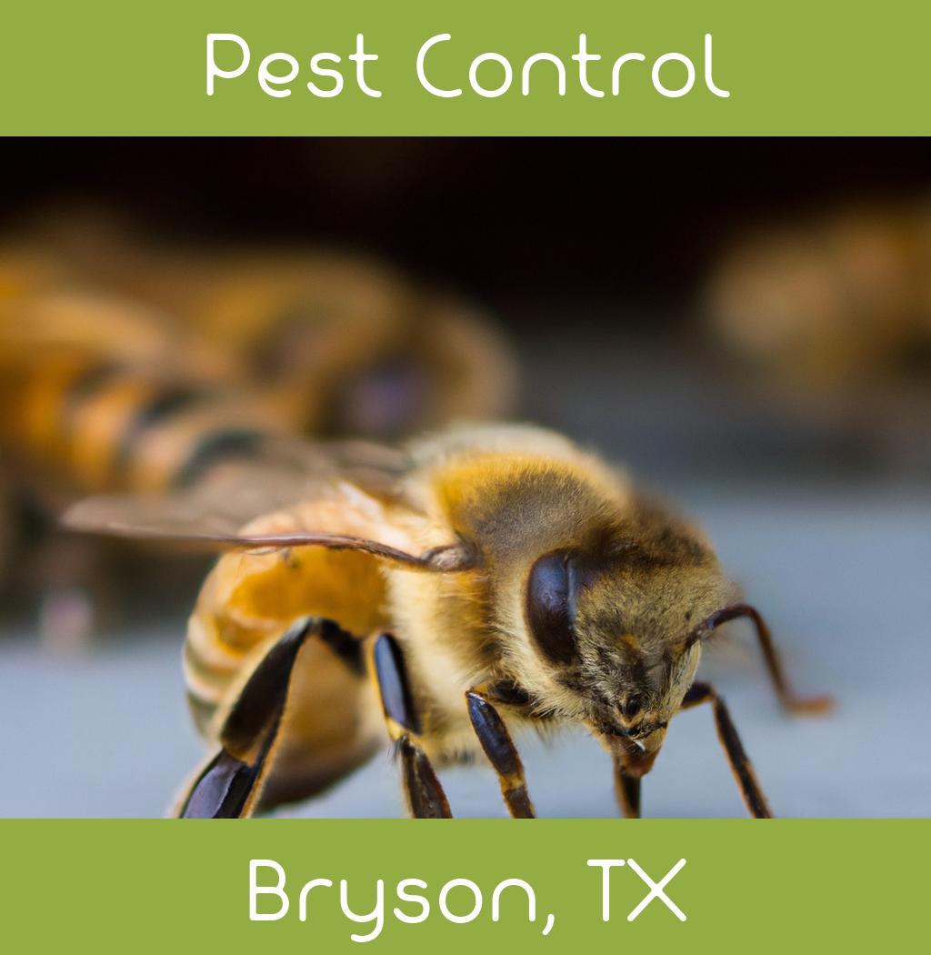 pest control in Bryson Texas