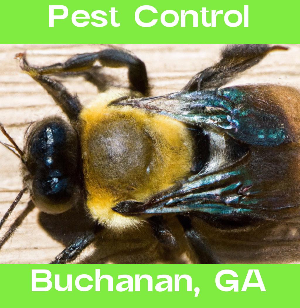 pest control in Buchanan Georgia