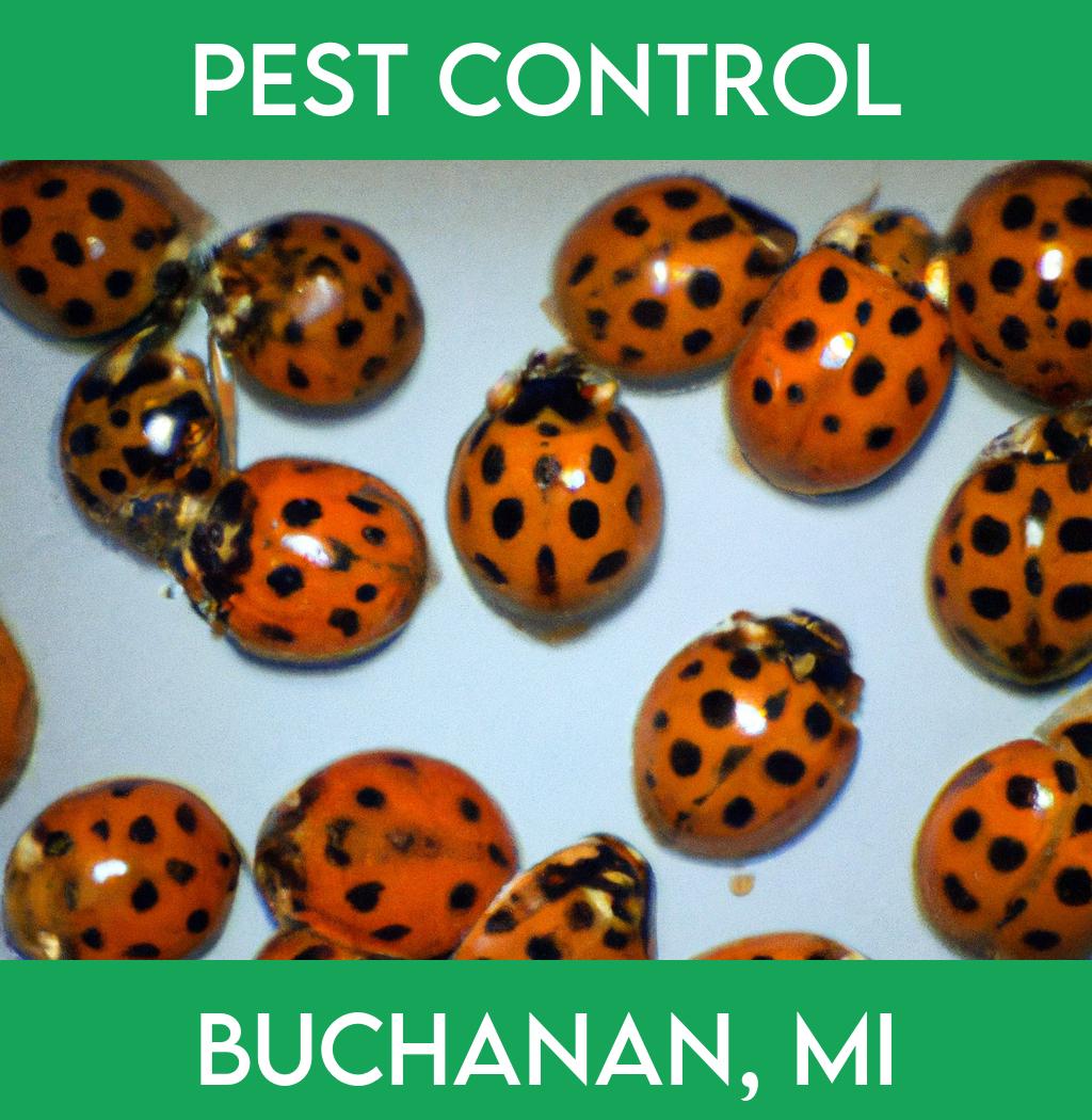pest control in Buchanan Michigan