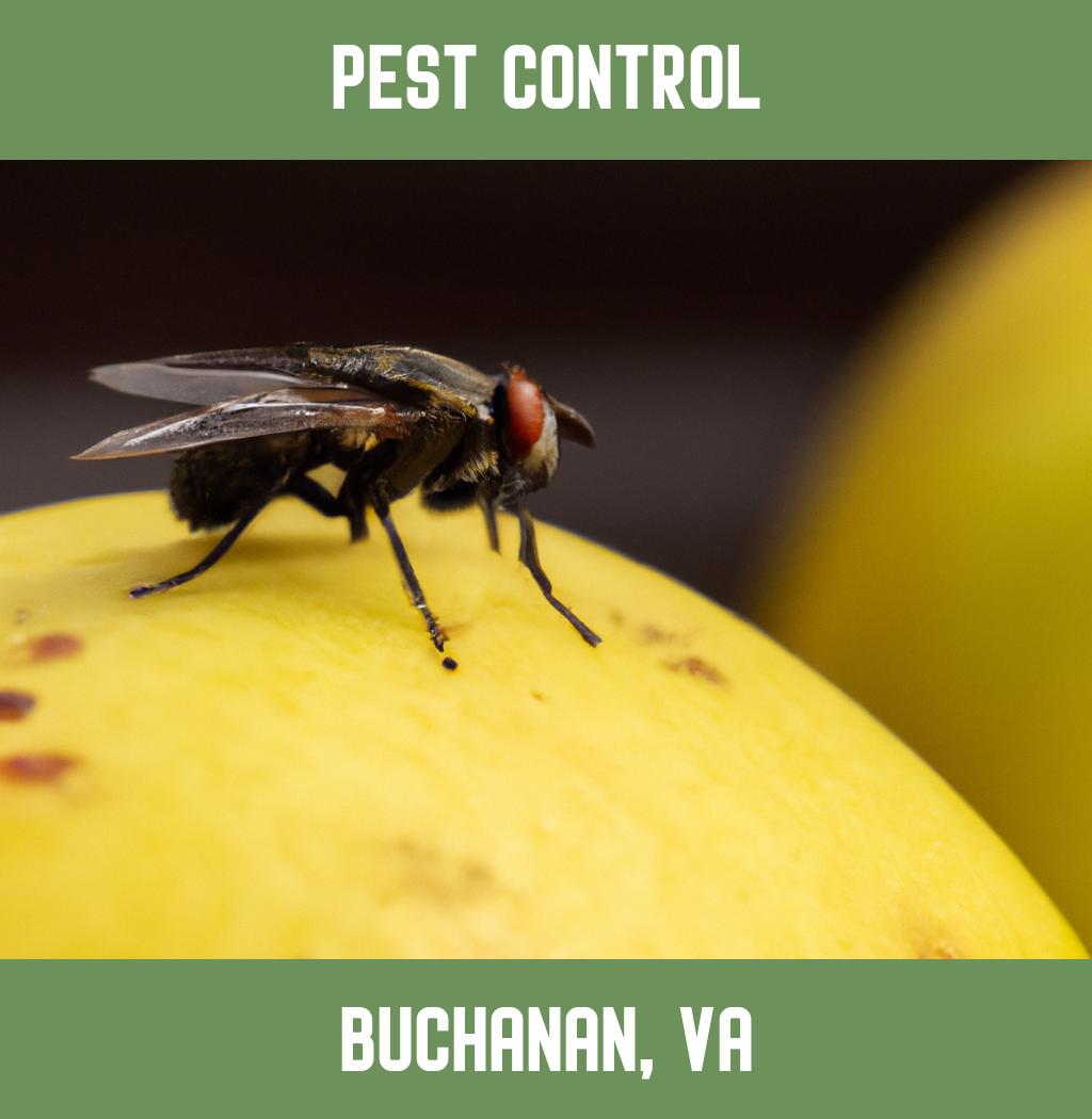 pest control in Buchanan Virginia