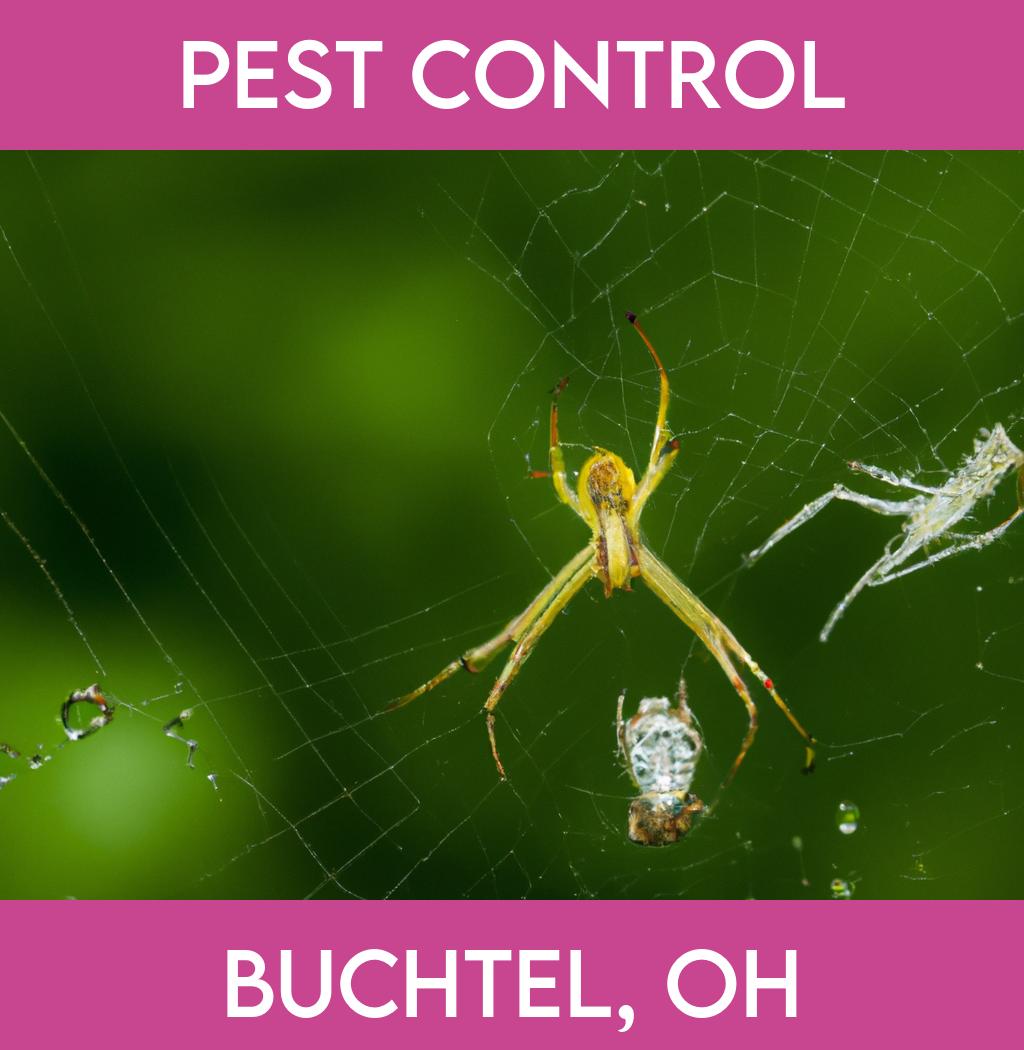 pest control in Buchtel Ohio