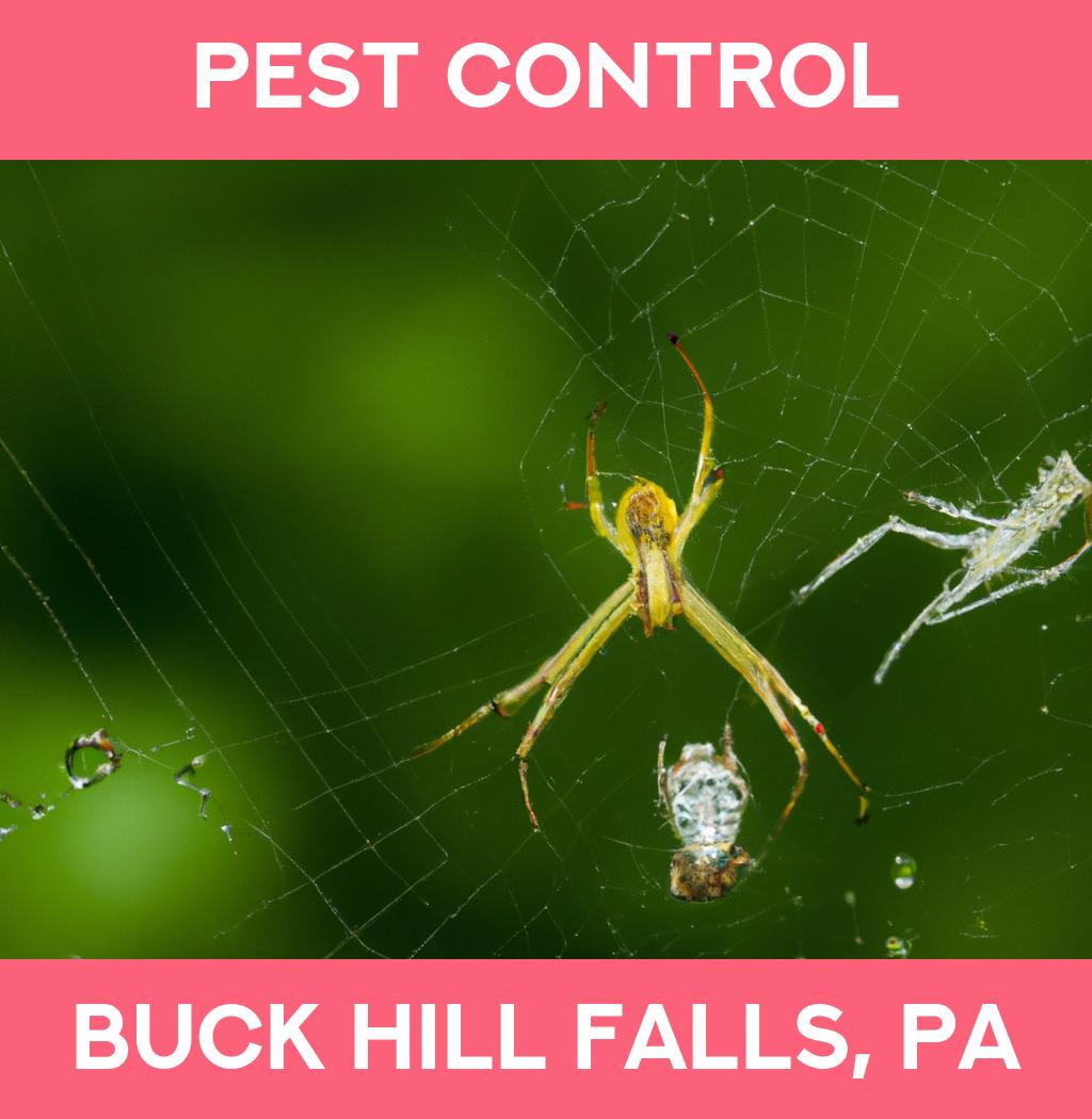 pest control in Buck Hill Falls Pennsylvania