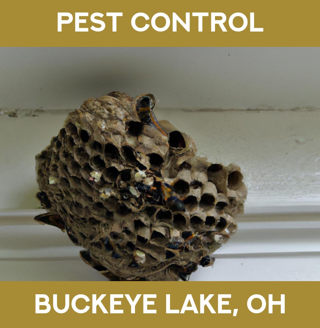 pest control in Buckeye Lake Ohio