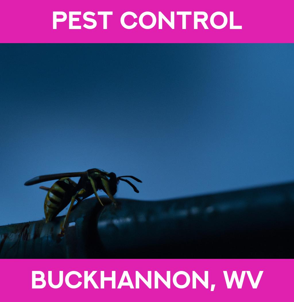pest control in Buckhannon West Virginia