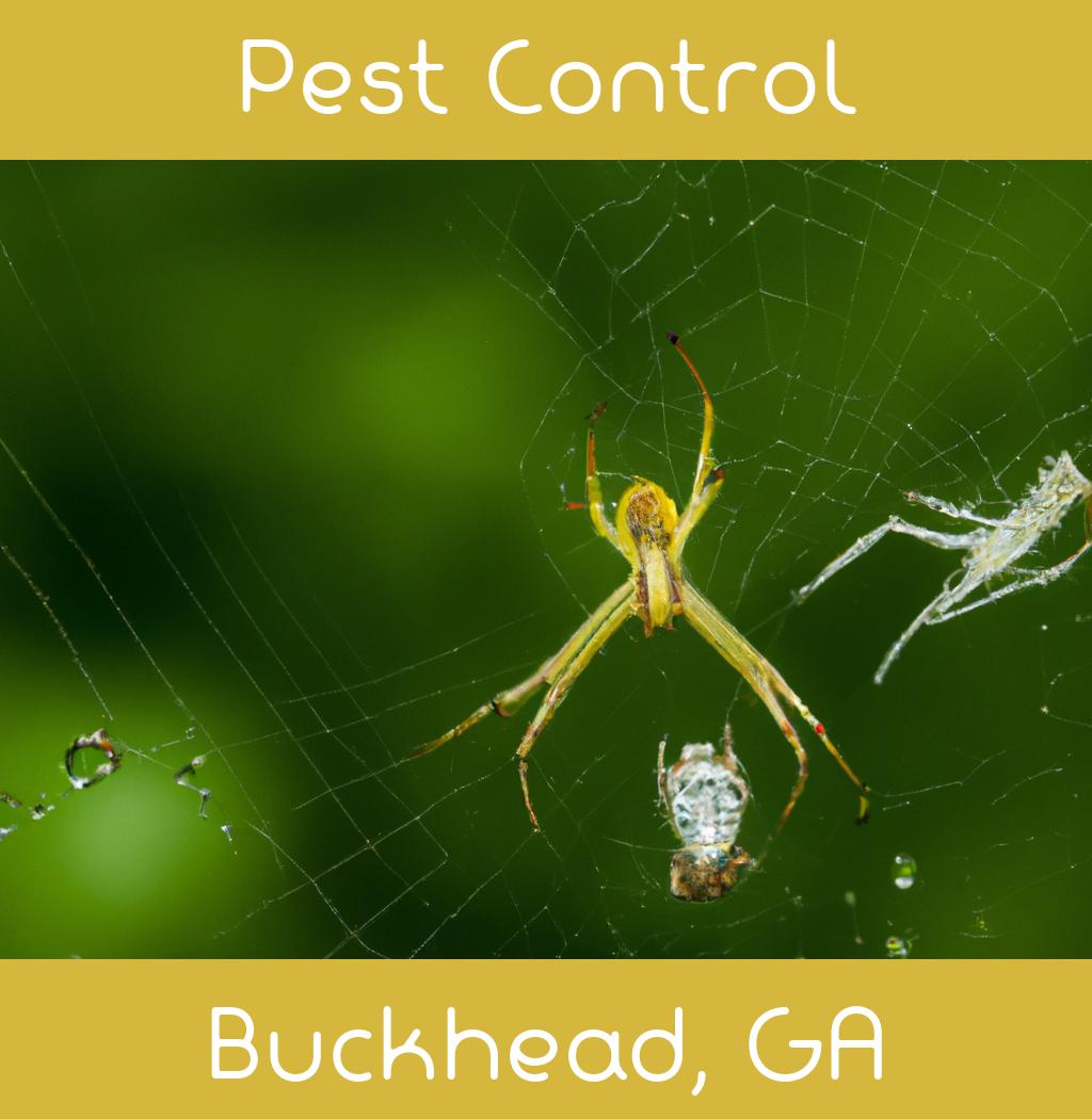 pest control in Buckhead Georgia