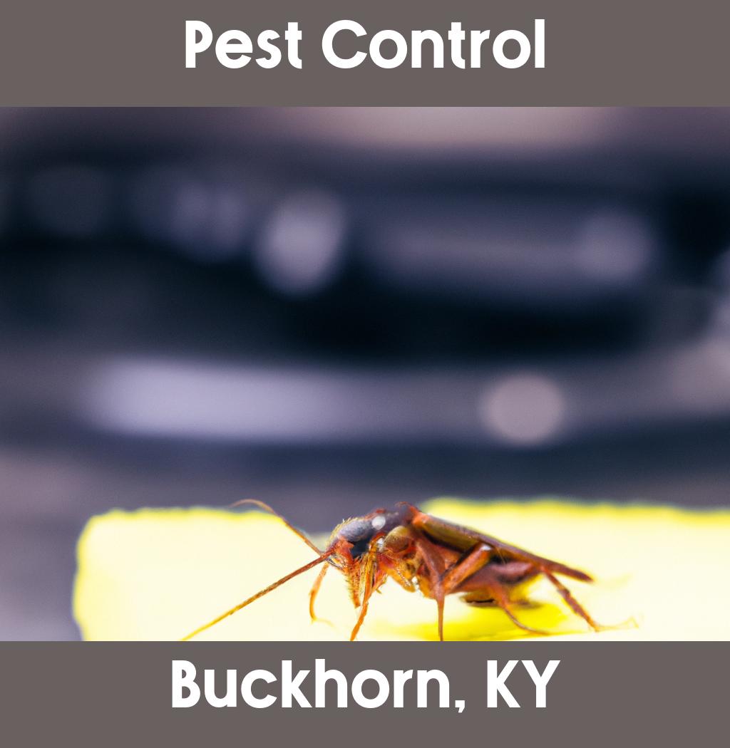 pest control in Buckhorn Kentucky