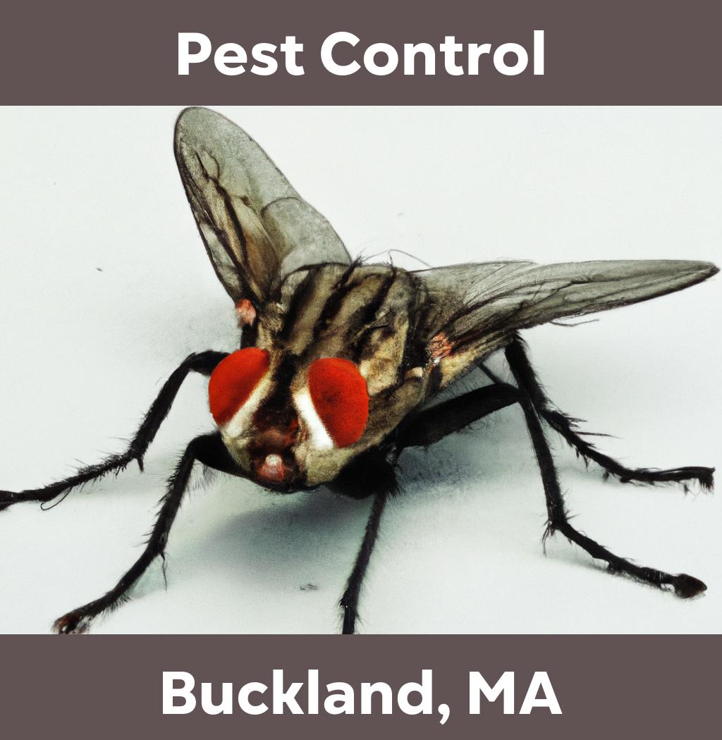 pest control in Buckland Massachusetts