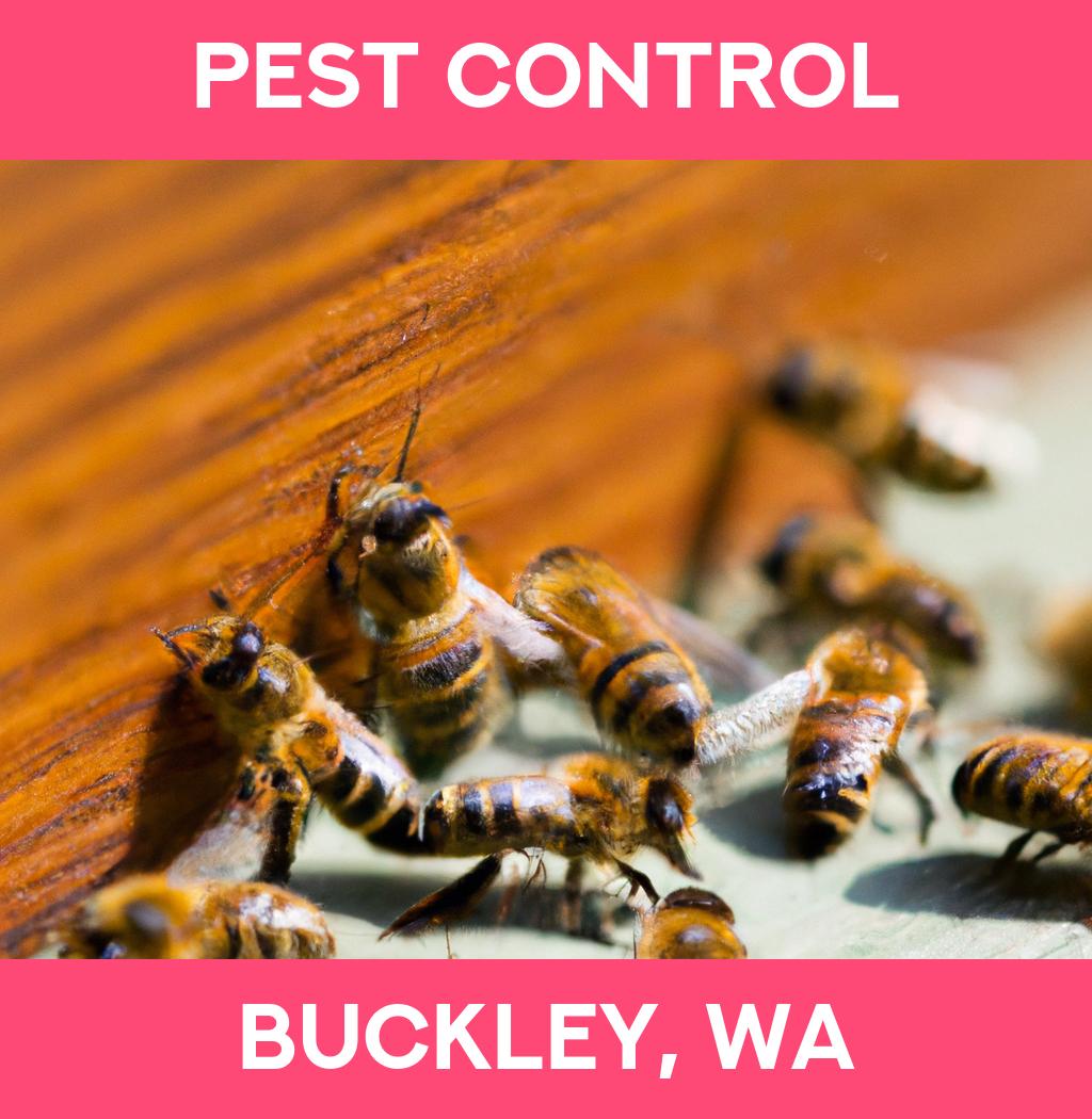 pest control in Buckley Washington