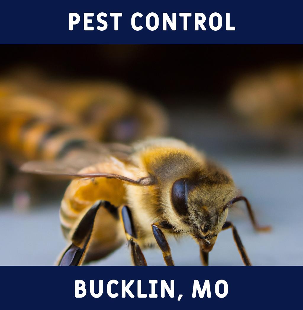 pest control in Bucklin Missouri