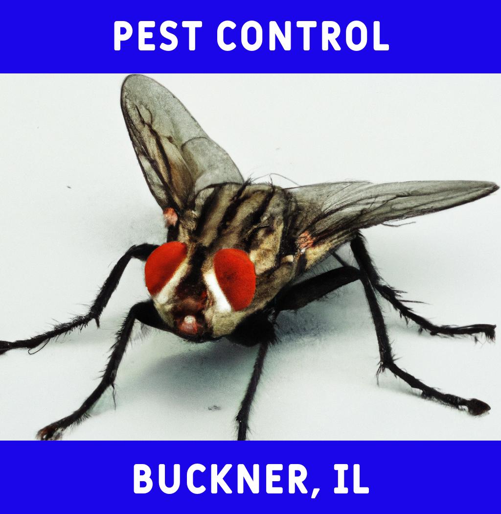 pest control in Buckner Illinois