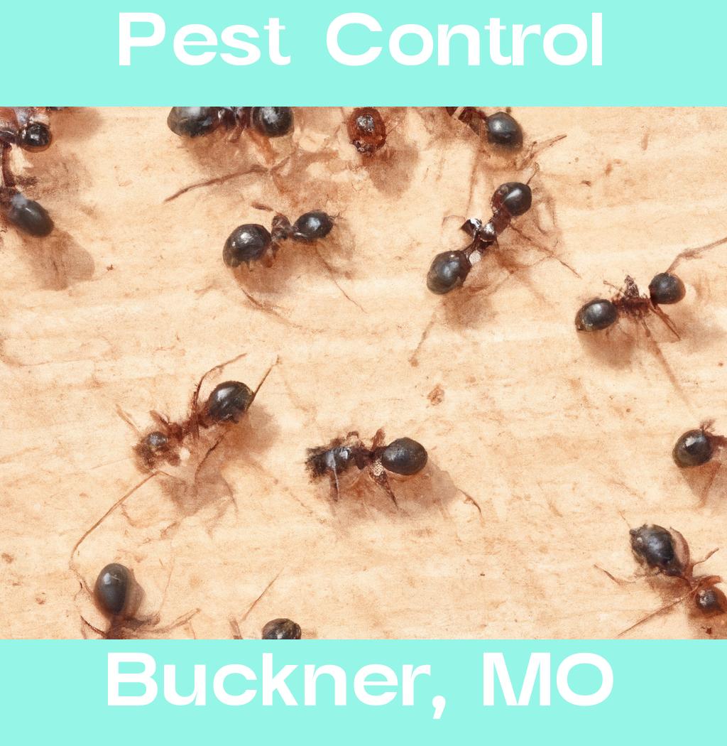 pest control in Buckner Missouri